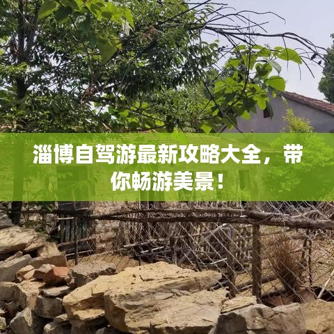 淄博自驾游最新攻略大全,带你畅游美景!
