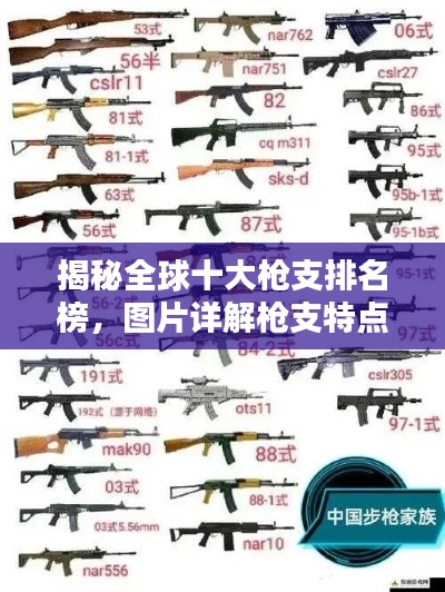揭秘全球十大枪支排名榜,图片详解枪支特点!