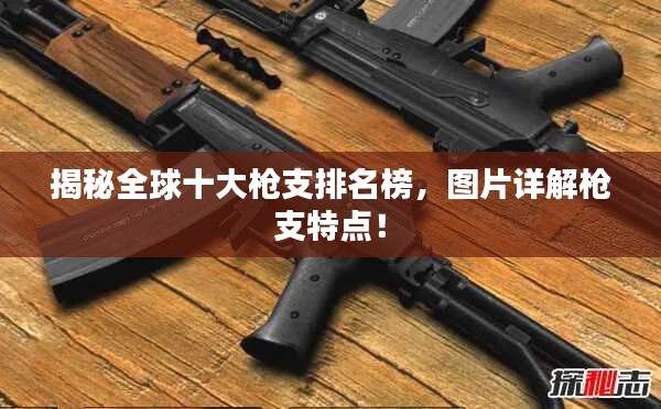 揭秘全球十大枪支排名榜,图片详解枪支特点!