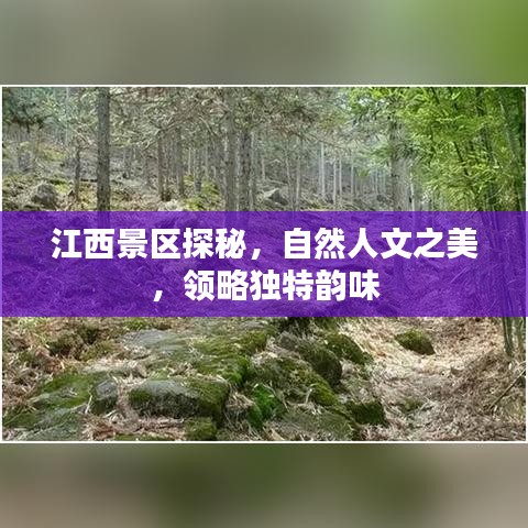 江西景区探秘,自然人文之美,领略独特韵味