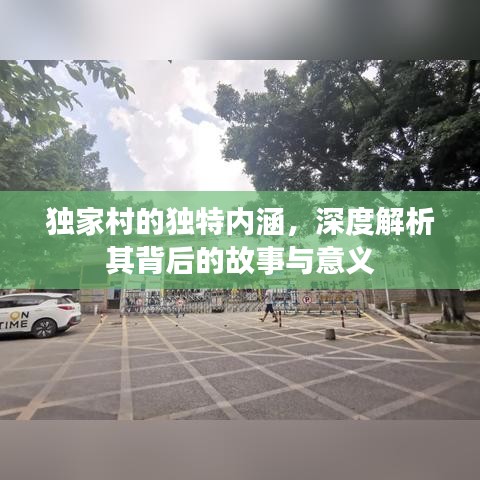 独家村的独特内涵,深度解析其背后的故事与意义