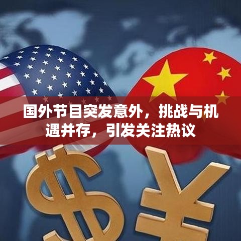 国外节目突发意外,挑战与机遇并存,引发关注热议