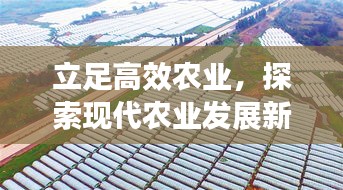 立足高效农业,探索现代农业发展新路径,未来农业的新趋势