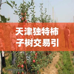 寥若晨星 第3页