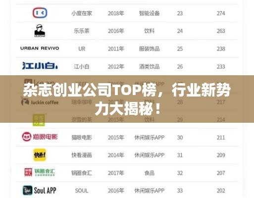 杂志创业公司TOP榜,行业新势力大揭秘!