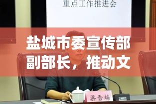 盐城市委宣传部副部长,推动文化繁荣的关键力量引领者