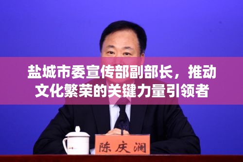 盐城市委宣传部副部长,推动文化繁荣的关键力量引领者
