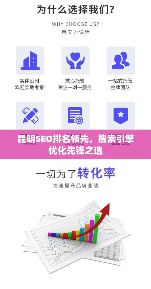 昆明SEO排名领先,搜索引擎优化先锋之选