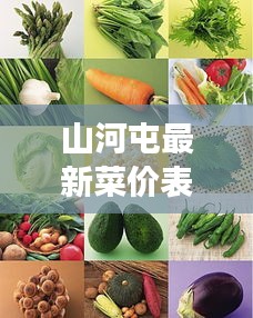 山河屯最新菜价表,蔬菜价格动态与市场深度解析