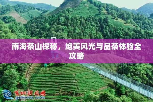 南海茶山探秘,绝美风光与品茶体验全攻略