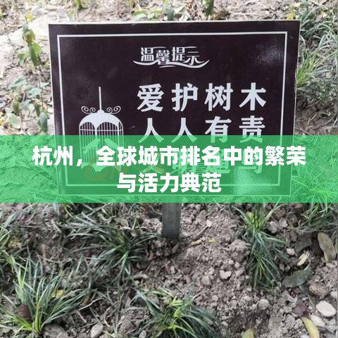 杭州,全球城市排名中的繁荣与活力典范