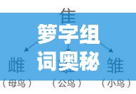 箩字组词奥秘探秘,汉字的魅力与神奇组合