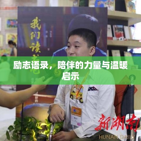 励志语录,陪伴的力量与温暖启示