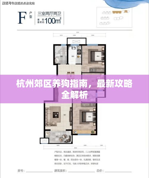 杭州郊区养狗指南,最新攻略全解析