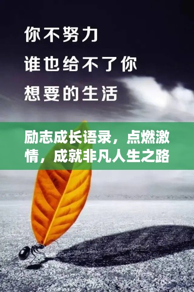 励志成长语录,点燃激情,成就非凡人生之路!