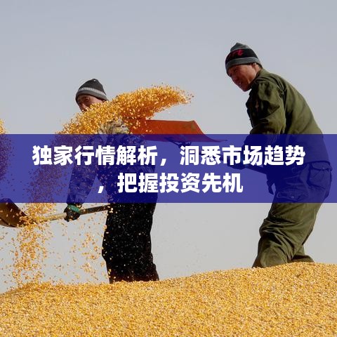 独家行情解析,洞悉市场趋势,把握投资先机