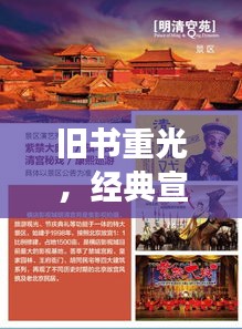 惊弓之鸟 第3页