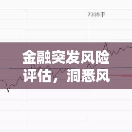 金融突发风险评估,洞悉风险、迎战挑战的策略指南