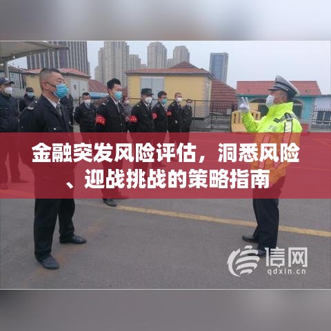 金融突发风险评估,洞悉风险、迎战挑战的策略指南
