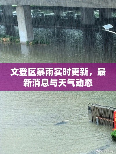 文登区暴雨实时更新,最新消息与天气动态