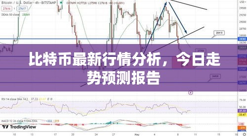 比特币最新行情分析,今日走势预测报告
