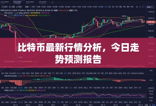 比特币最新行情分析,今日走势预测报告
