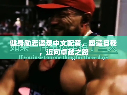 健身励志语录中文配音,塑造自我,迈向卓越之路