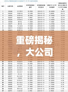 重磅揭秘,大公司分公司排名及影响力深度解析