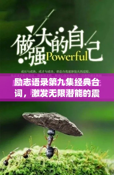 励志语录第九集经典台词,激发无限潜能的震撼力量!