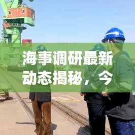 海事调研最新动态揭秘,今日消息一览