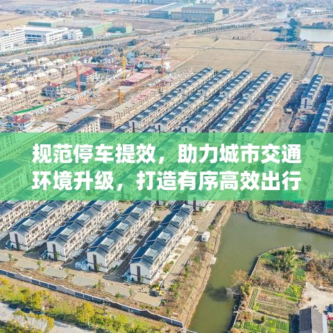 规范停车提效,助力城市交通环境升级,打造有序高效出行体验