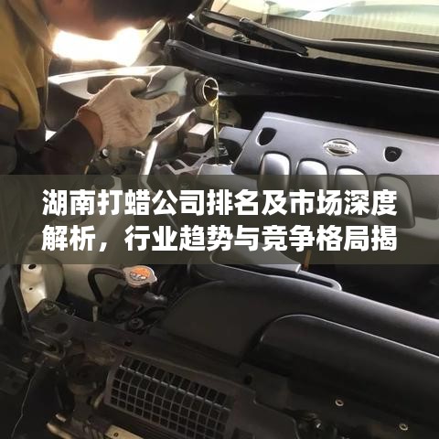 湖南打蜡公司排名及市场深度解析,行业趋势与竞争格局揭秘