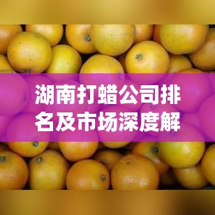 湖南打蜡公司排名及市场深度解析,行业趋势与竞争格局揭秘