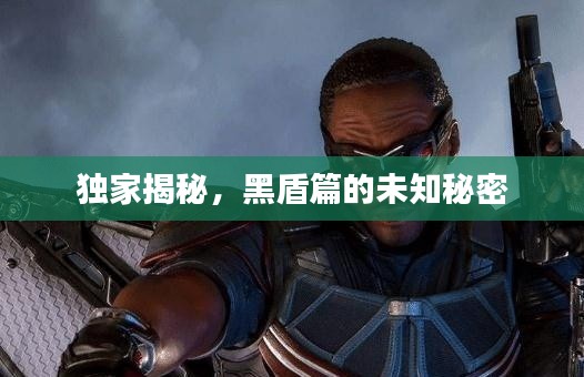独家揭秘,黑盾篇的未知秘密