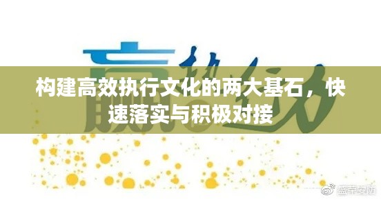 构建高效执行文化的两大基石,快速落实与积极对接