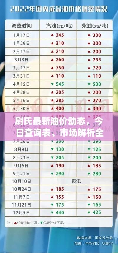 尉氏最新油价动态,今日查询表、市场解析全掌握