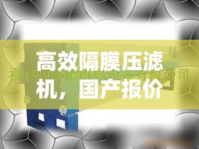 高效隔膜压滤机,国产报价与市场应用深度解析