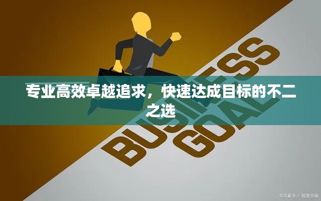 专业高效卓越追求,快速达成目标的不二之选