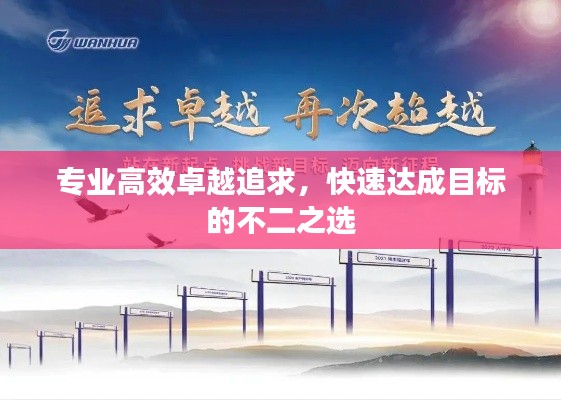 专业高效卓越追求,快速达成目标的不二之选