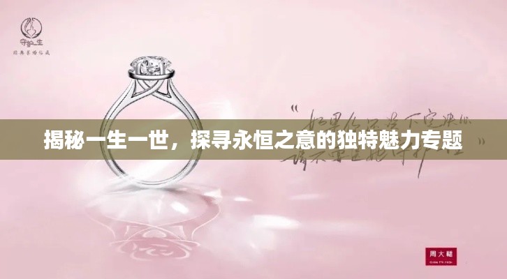揭秘一生一世,探寻永恒之意的独特魅力专题