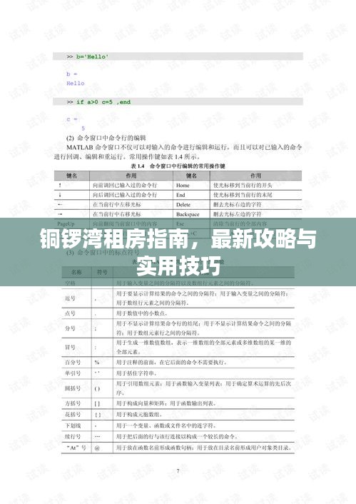 铜锣湾租房指南,最新攻略与实用技巧