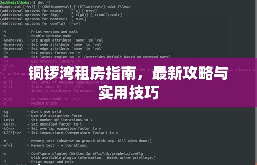 铜锣湾租房指南,最新攻略与实用技巧