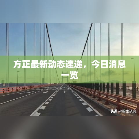 方正最新动态速递,今日消息一览
