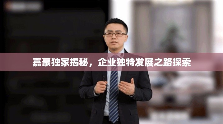 嘉豪独家揭秘,企业独特发展之路探索