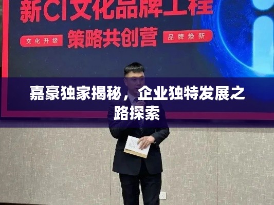 嘉豪独家揭秘,企业独特发展之路探索