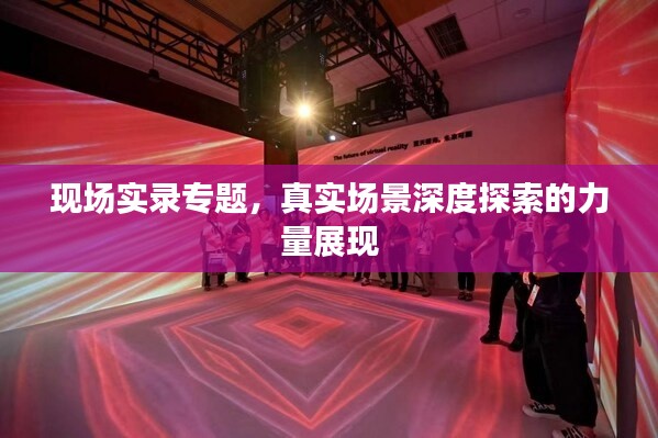 现场实录专题,真实场景深度探索的力量展现