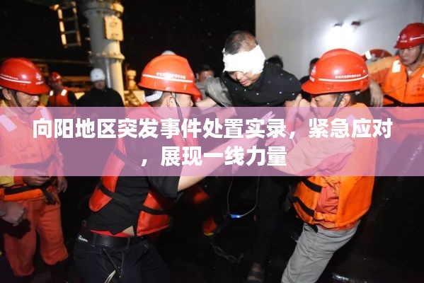 向阳地区突发事件处置实录,紧急应对,展现一线力量