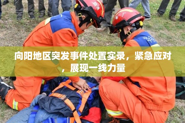 向阳地区突发事件处置实录,紧急应对,展现一线力量