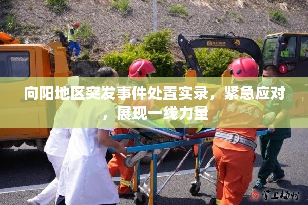 向阳地区突发事件处置实录,紧急应对,展现一线力量