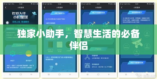 独家小助手,智慧生活的必备伴侣
